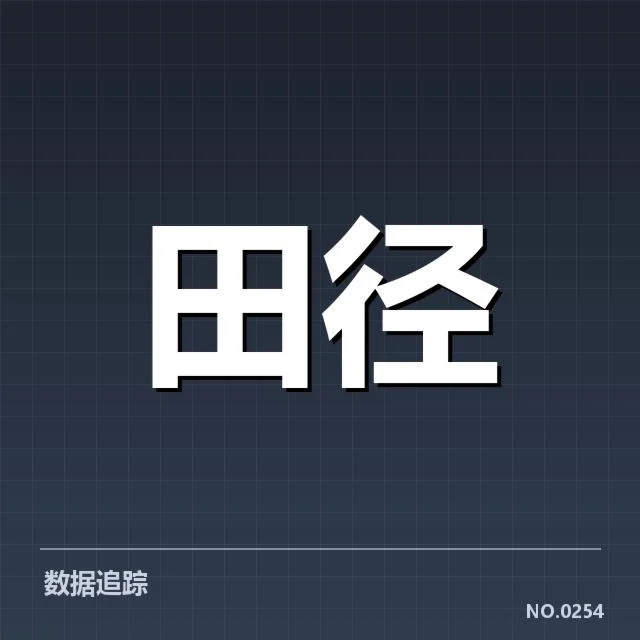核心运动员名单与比赛数据回顾